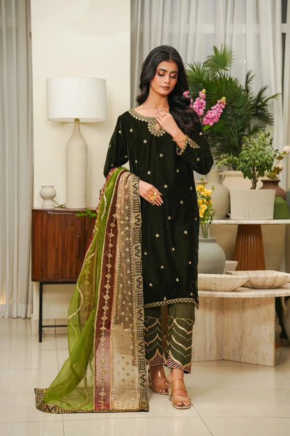 Velvet 3-Piece Stitched Embroidered Suit with Organza & Chiffon Dupatta – Premium Formal Wear - GREEN